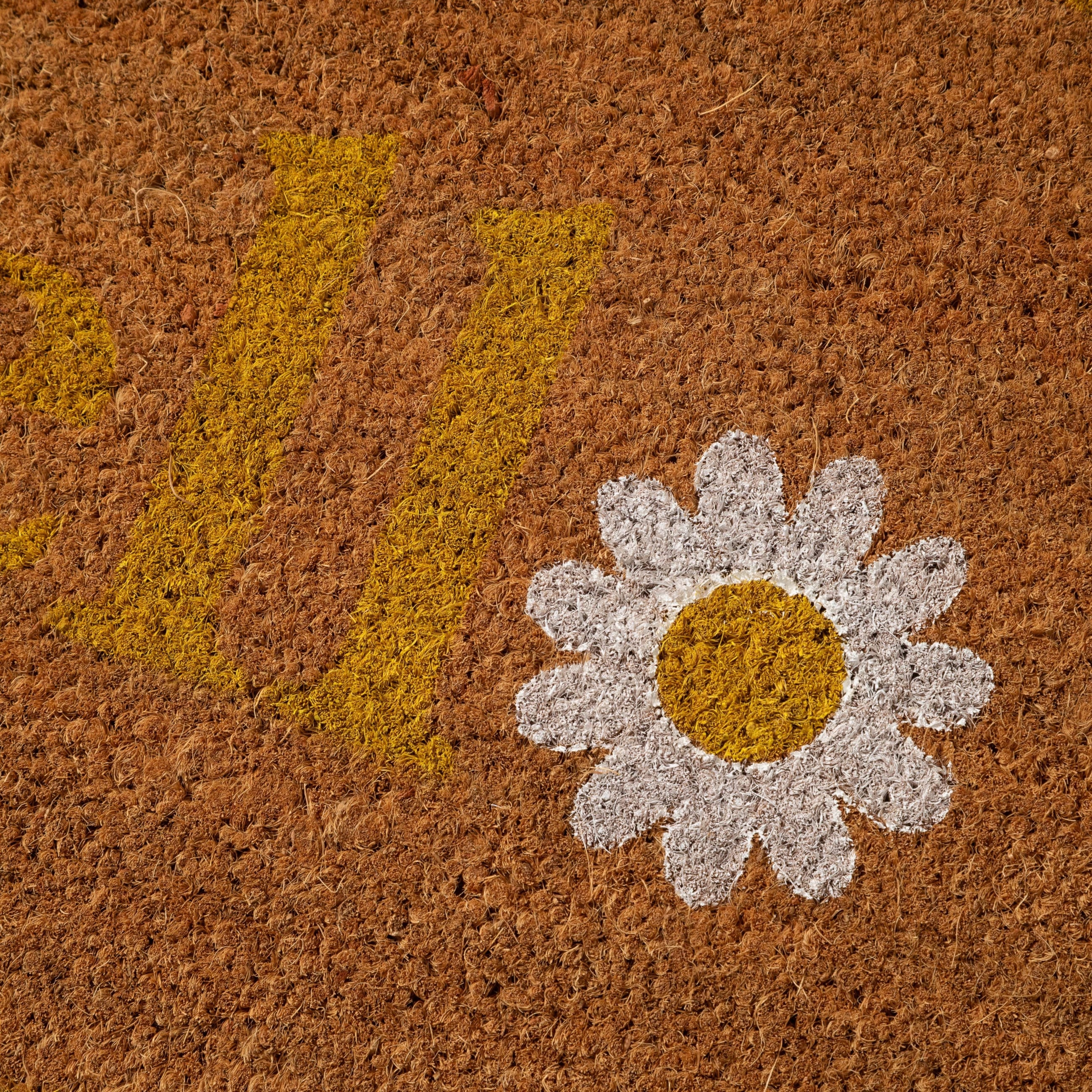 HELLO DAISY KAPI PASPAS 40X60 CM