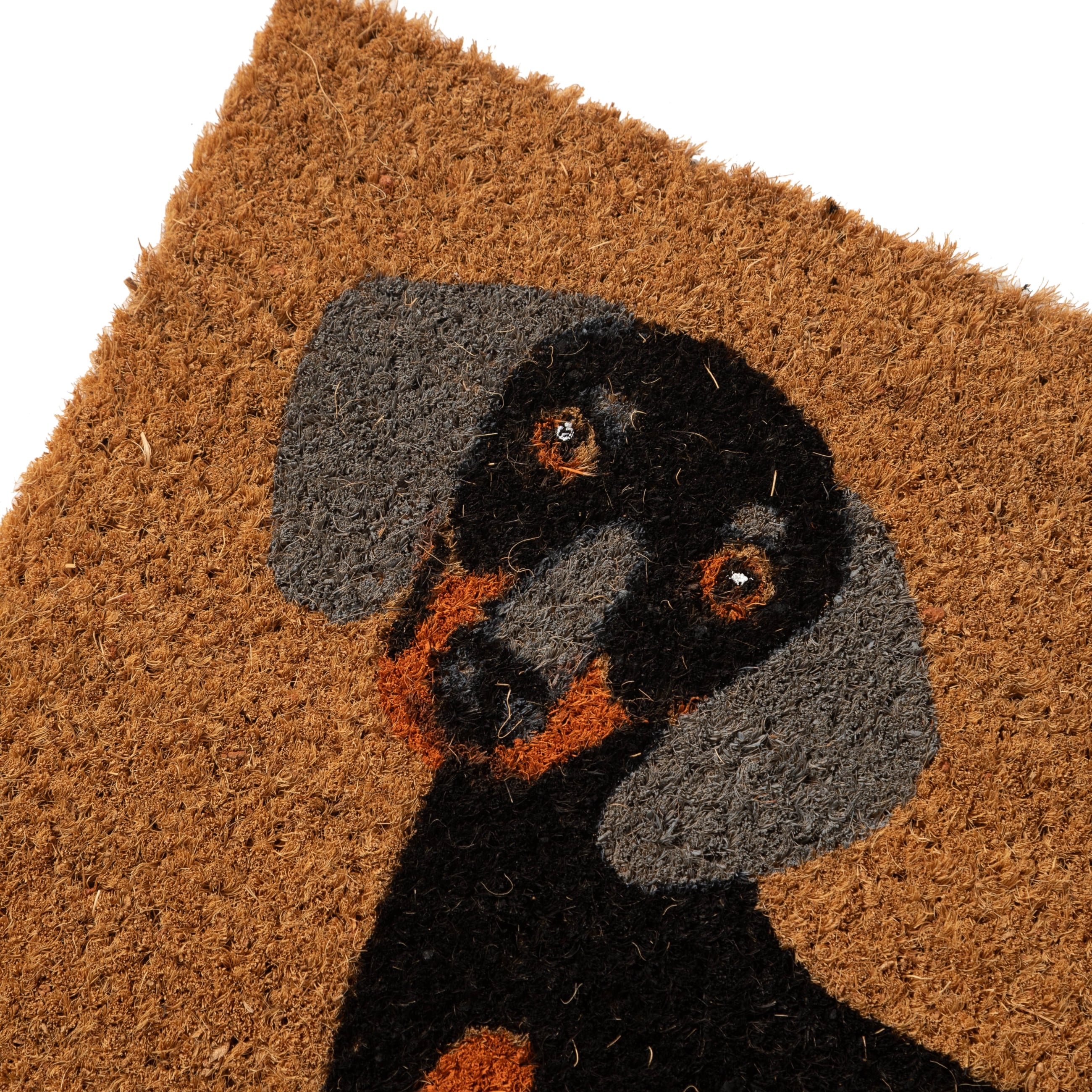 DOG KAPI PASPAS 40X60 CM