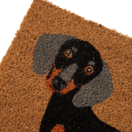 DOG KAPI PASPAS 40X60 CM