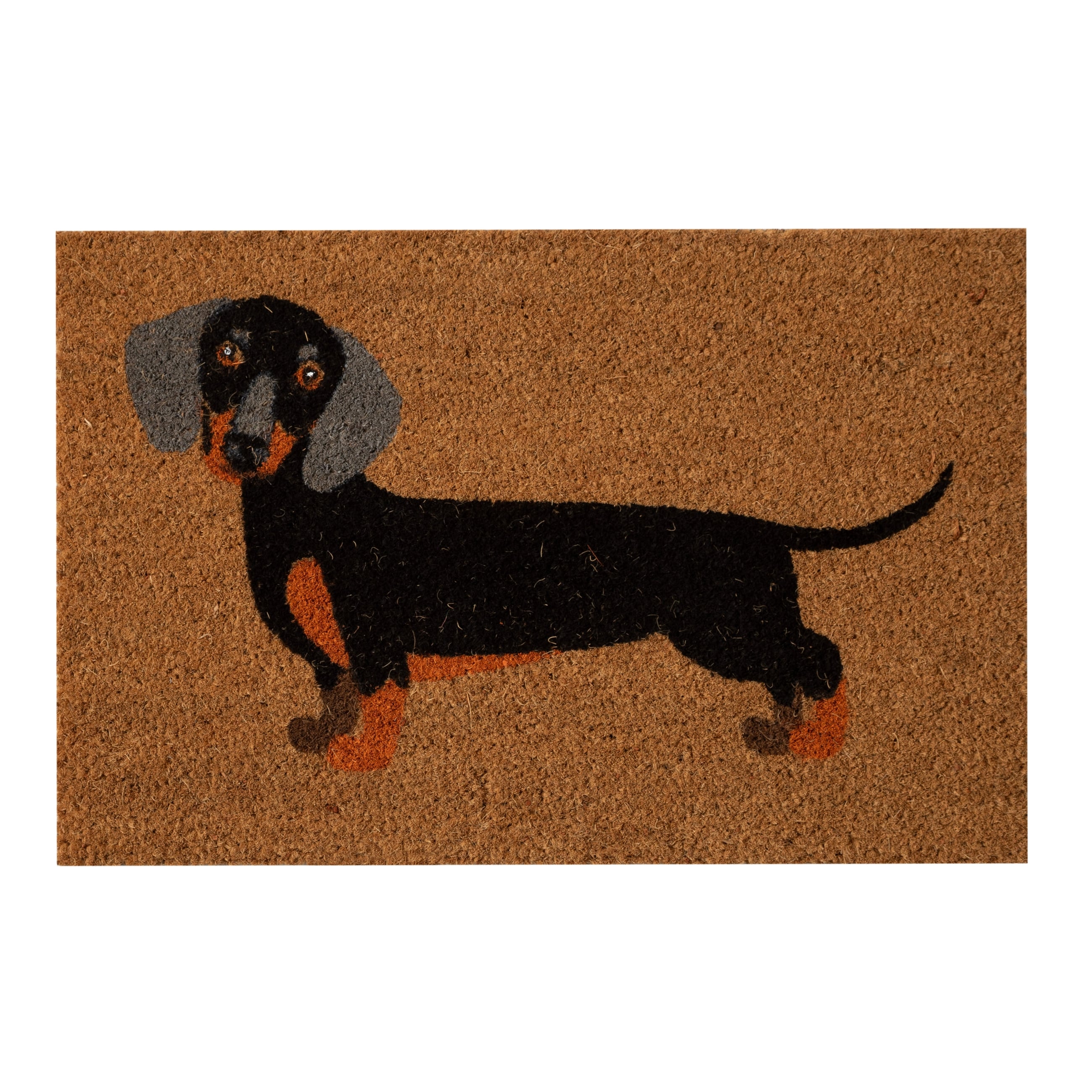 DOG KAPI PASPAS 40X60 CM