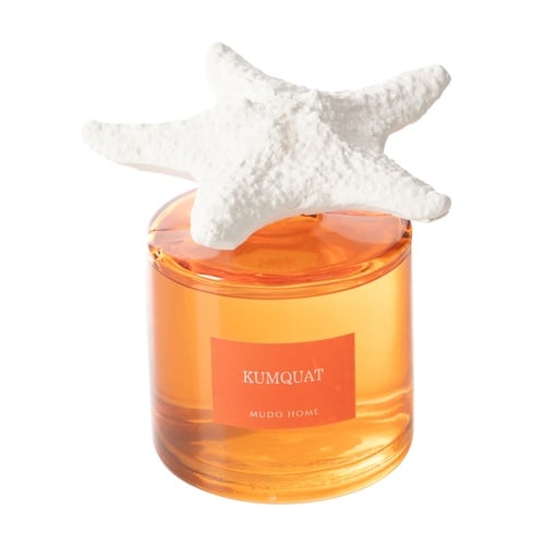  TAŞ STARFISH KUMQUAT ODA KOKUSU 500ML