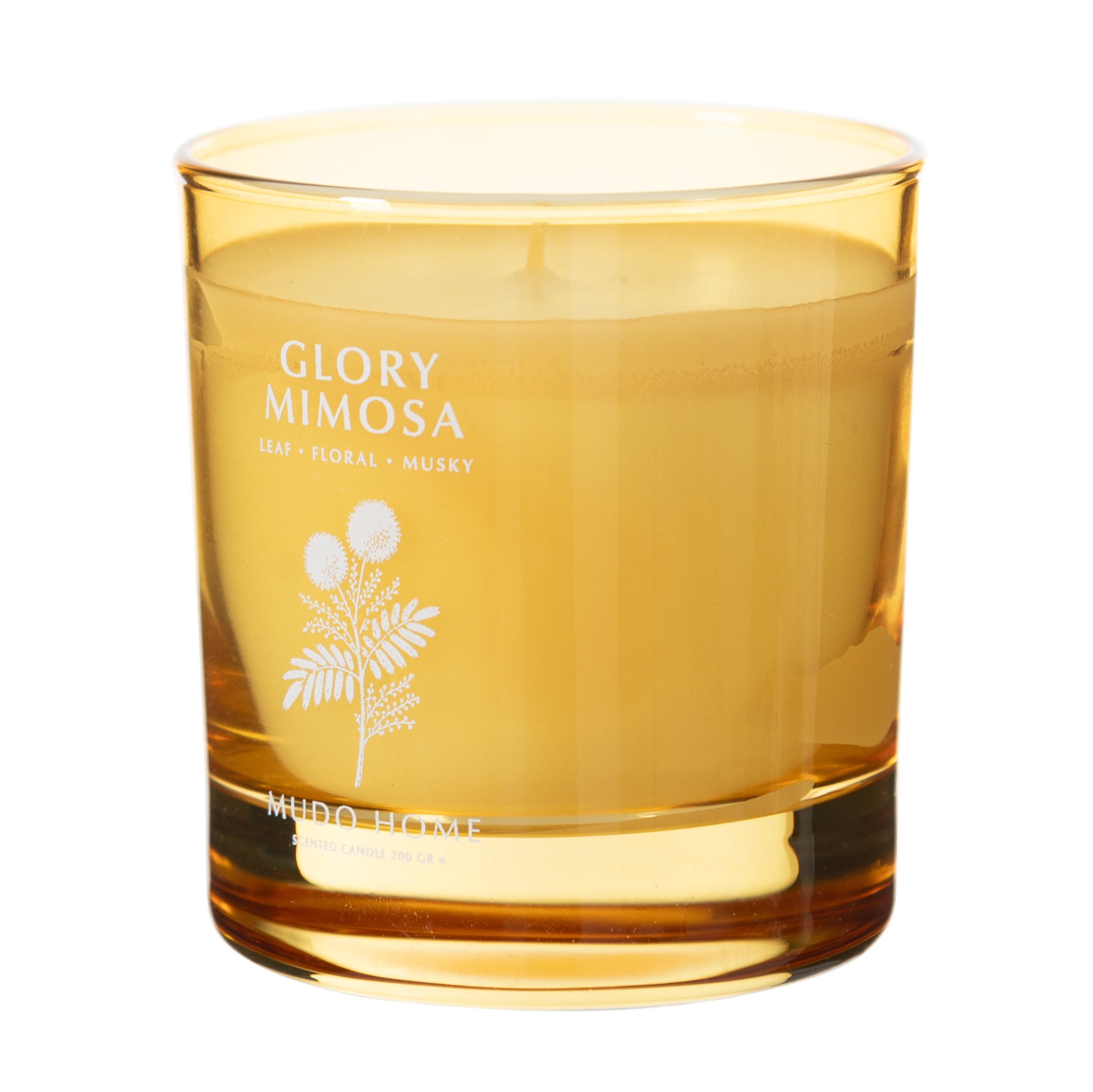 GLORY MIMOSA MUM 200GR