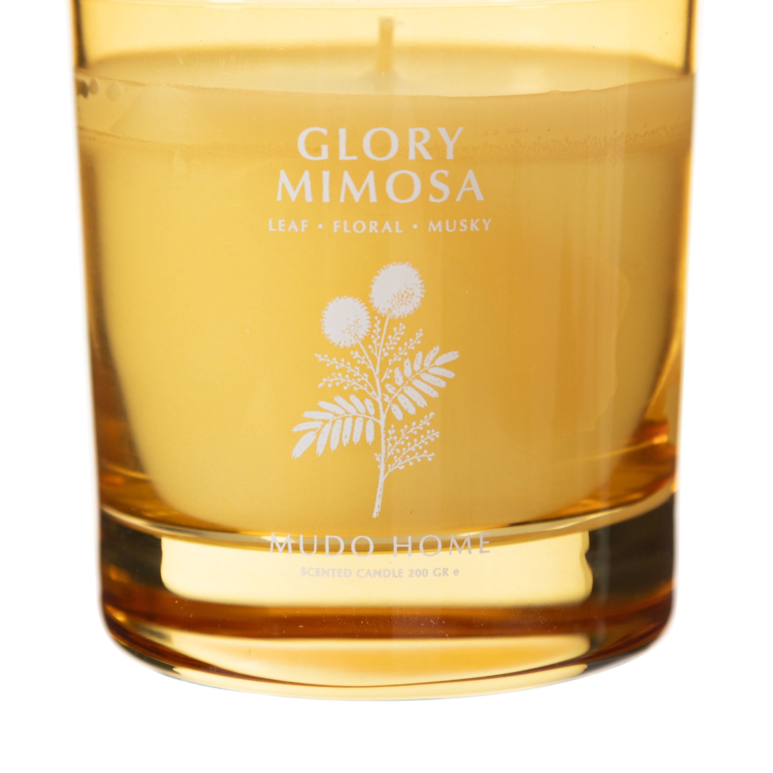 GLORY MIMOSA MUM 200GR