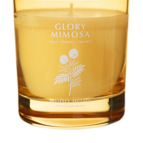  GLORY MIMOSA MUM 200GR