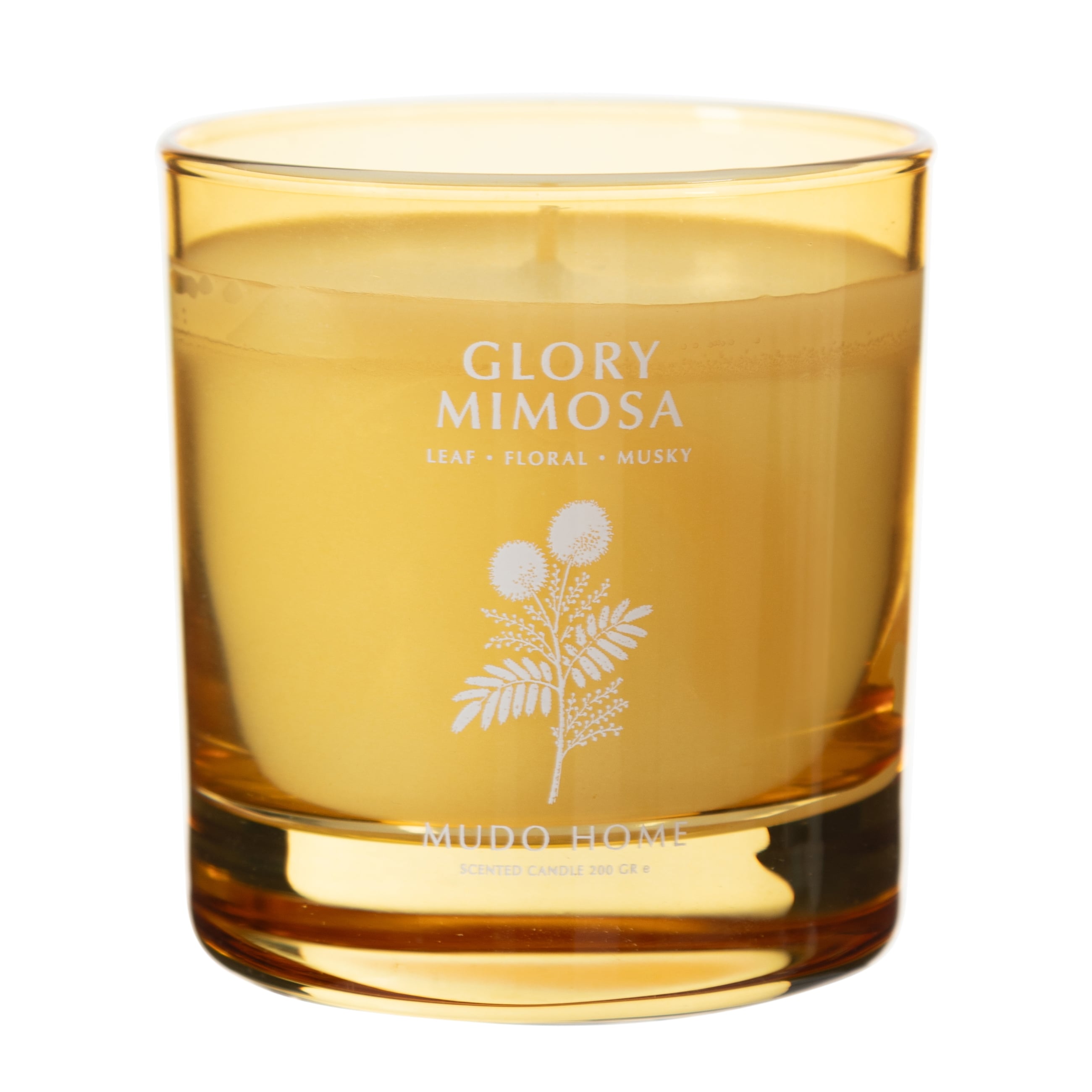 GLORY MIMOSA MUM 200GR