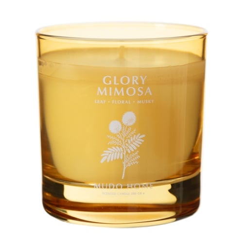 GLORY MIMOSA MUM 200GR