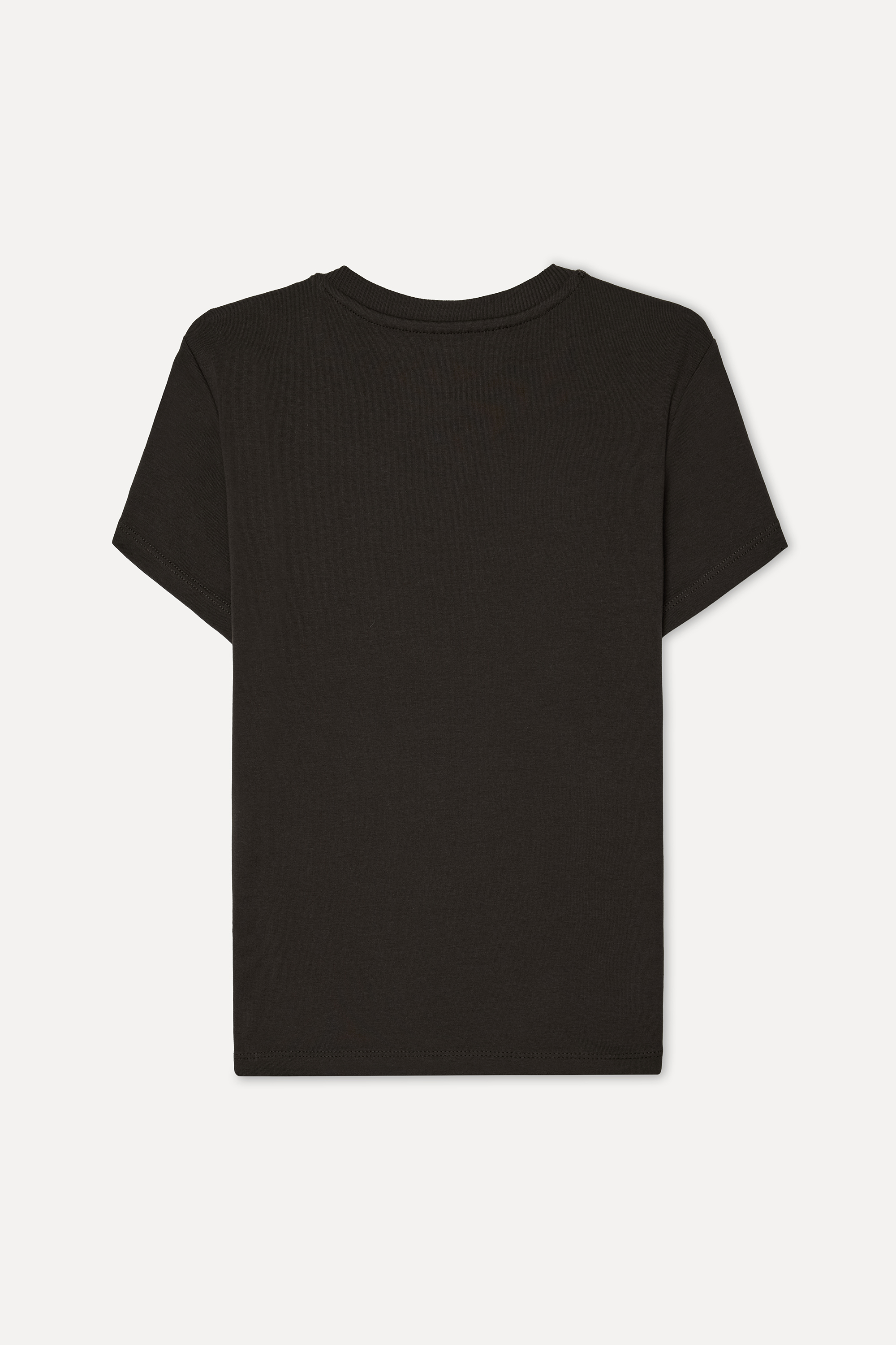 Kadın Kahverengi Fitted Bisiklet Yaka Kısa Kollu T-Shirt