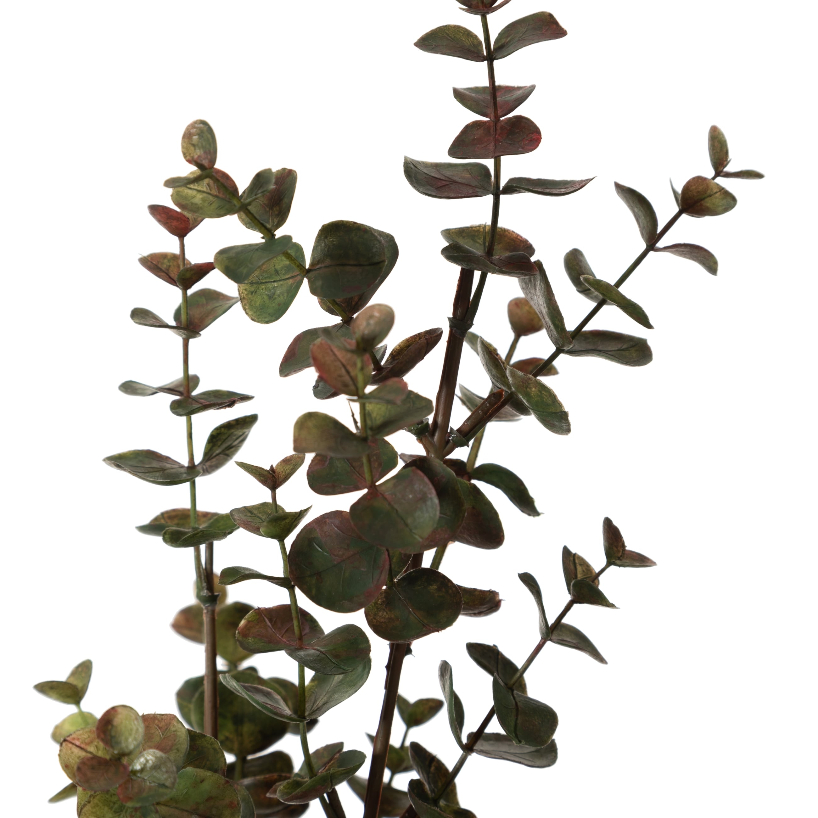 OKALİPTÜS DAL ÇİÇEK 76 CM