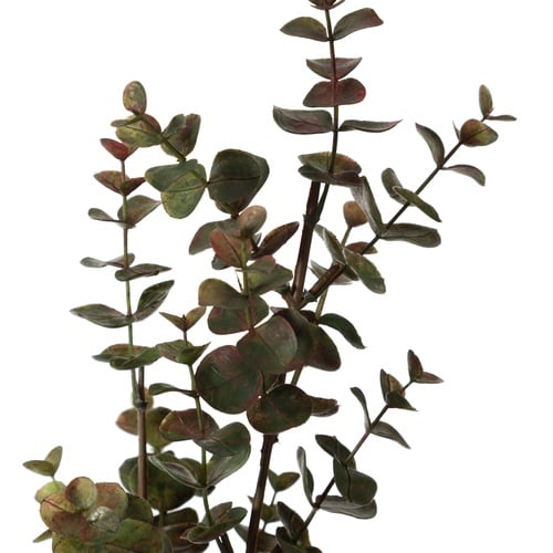 OKALİPTÜS DAL ÇİÇEK 76 CM