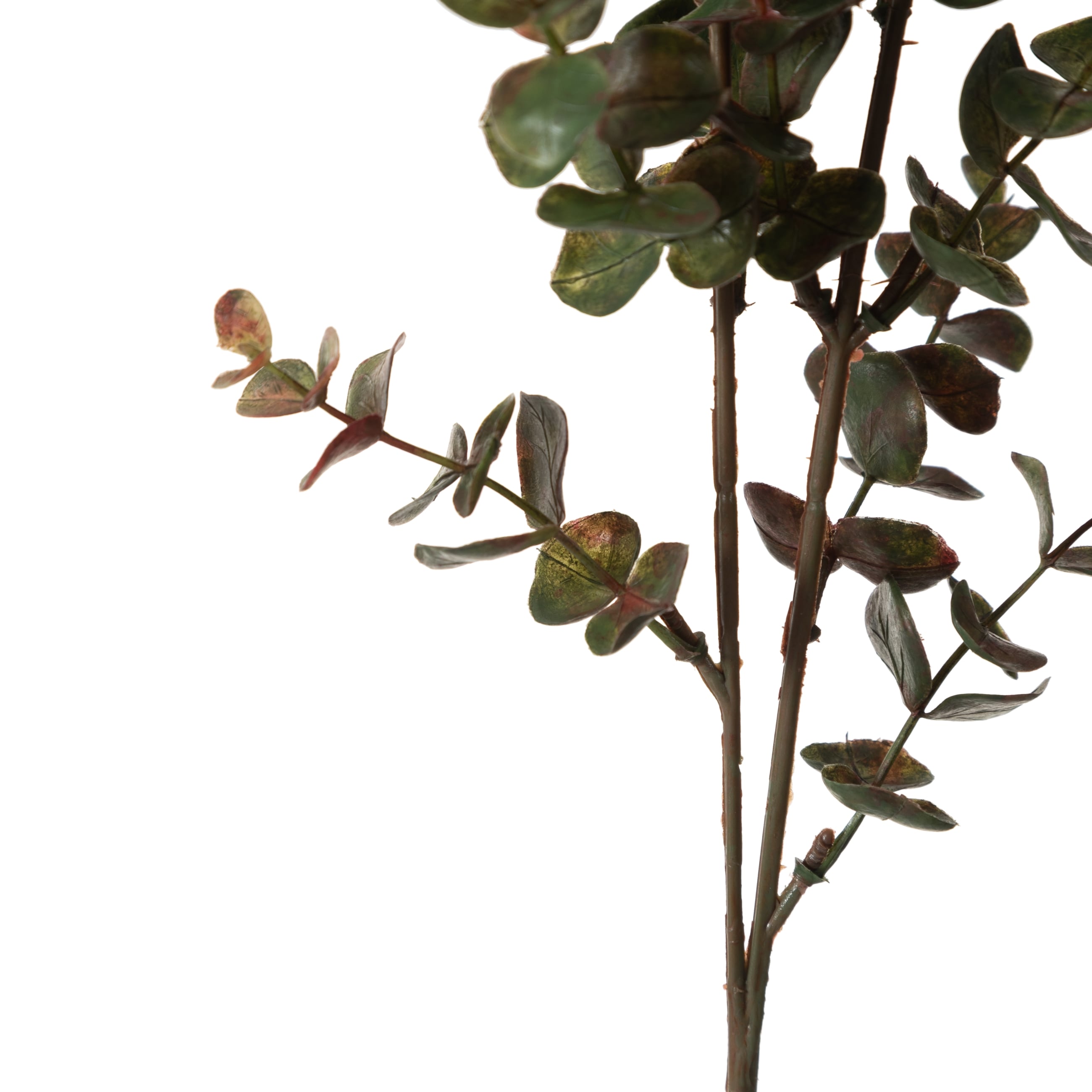 OKALİPTÜS DAL ÇİÇEK 76 CM