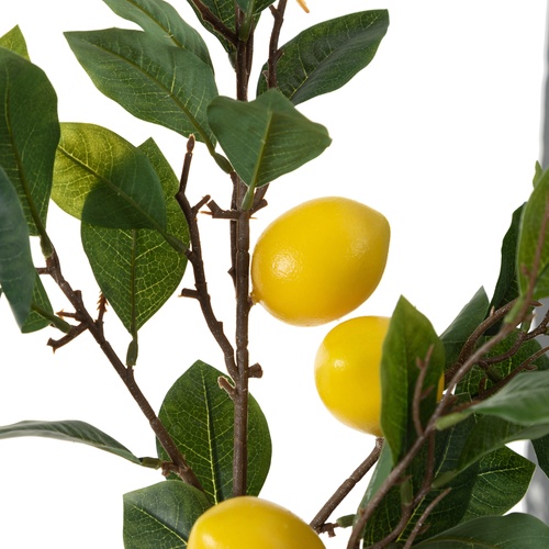 LİMON DAL ÇİÇEK 94 CM